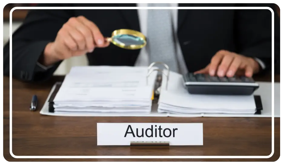 auditor
